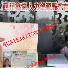 自費出國留學中介服務 選擇、評估與避坑指南